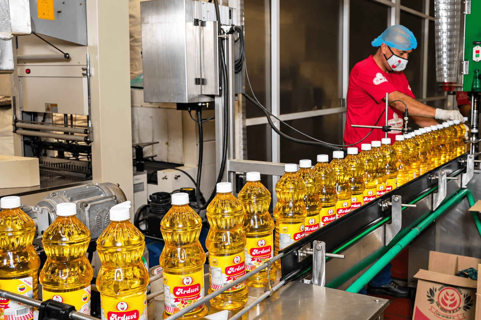 Envasado de aceite