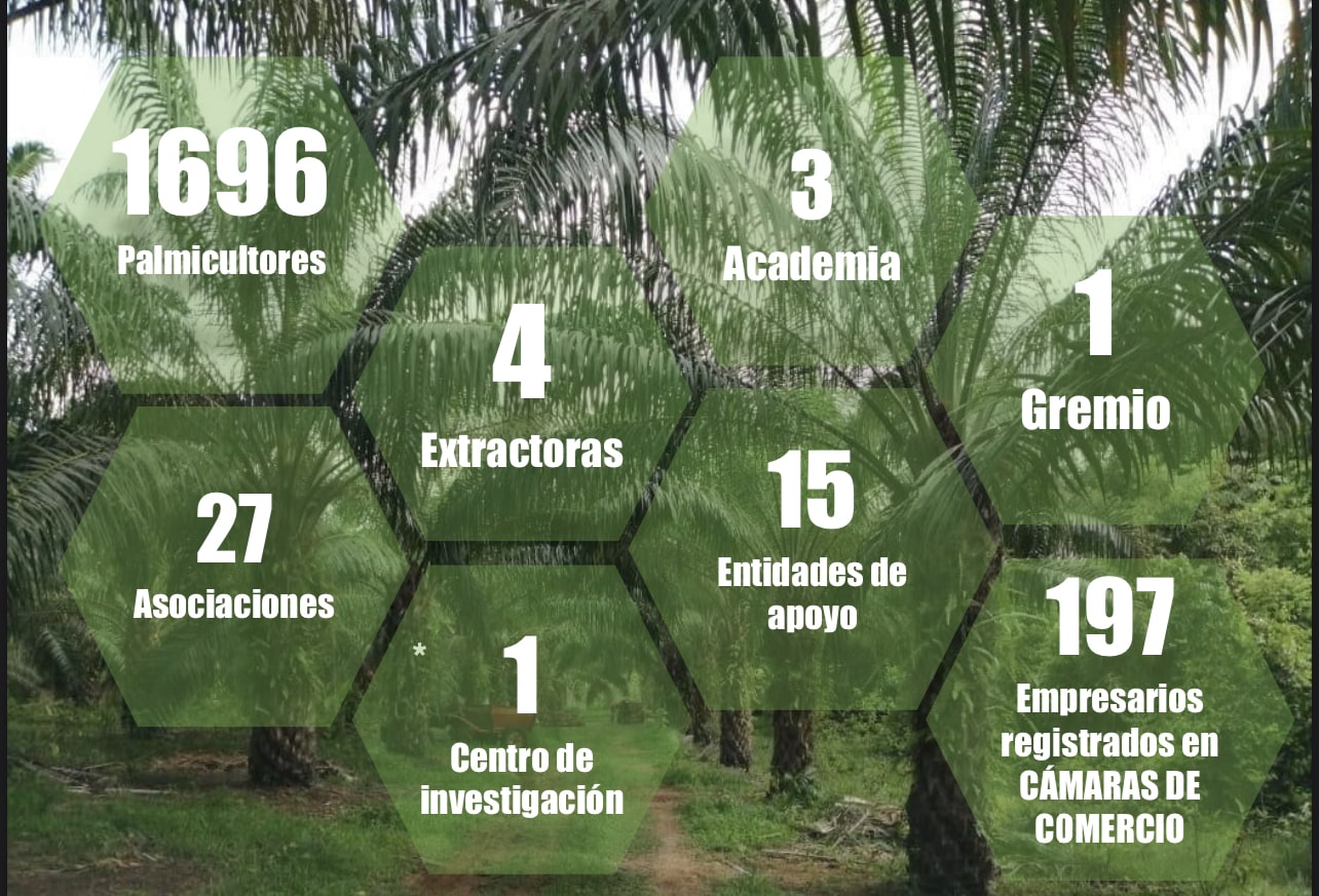Infografía sector de palma de aceite